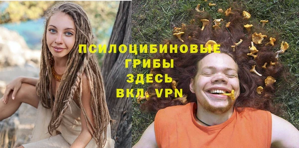 а пвп мука Армянск