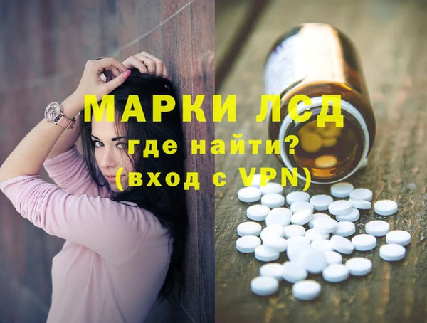 стаф Арсеньев