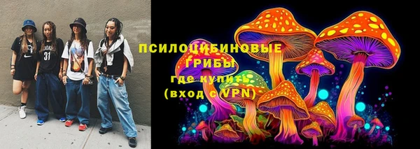 стаф Арсеньев