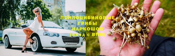 стаф Арсеньев