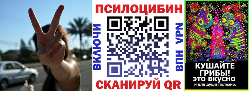 Псилоцибиновые грибы Psilocybe  Кологрив 