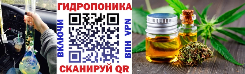 Шишки марихуана конопля  Кологрив 